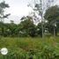  Land for sale in Banten, Maja, Lebak, Banten