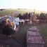 5 Bedroom House for sale in Ayacucho, San Luis, Ayacucho