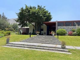  Grundstück zu verkaufen in Cieneguilla, Lima, Cieneguilla, Lima, Lima, Peru