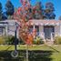  Land for sale in Chile, Mostazal, Cachapoal, Libertador General Bernardo Ohiggins, Chile