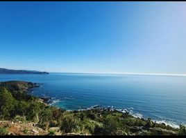 Land for sale in Los Rios, Mariquina, Valdivia, Los Rios