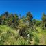  Land for sale in Los Rios, Mariquina, Valdivia, Los Rios