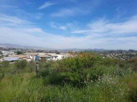  Land for sale in Chile, Quilpue, Valparaiso, Valparaiso, Chile