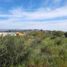  Land for sale in Chile, Quilpue, Valparaiso, Valparaiso, Chile