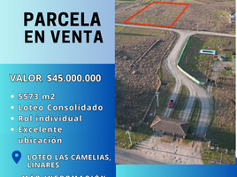  Terreno (Parcela) en venta en Chile, Longavi, Linares, Maule, Chile