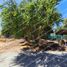 2 Bedroom House for rent in Santiago, Colina, Chacabuco, Santiago