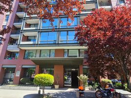 2 Bedroom Apartment for rent in Falabella Mall Plaza El Trébol, Talcahuano, Concepcion