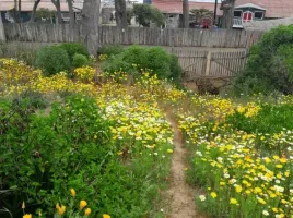  Terreno (Parcela) en venta en Valparaíso, El Tabo, San Antonio, Valparaíso