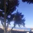  Terreno (Parcela) en venta en Valparaíso, El Tabo, San Antonio, Valparaíso