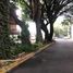 2 Schlafzimmer Wohnung zu verkaufen in Miguel Hidalgo, Mexico City, Miguel Hidalgo