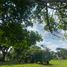  Land for sale in Isla, Veracruz, Isla