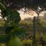  Land for sale in Isla, Veracruz, Isla