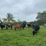  Land for sale in Isla, Veracruz, Isla