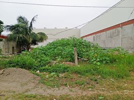  Land for sale in Jamapa, Veracruz, Jamapa