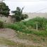 Land for sale in Jamapa, Veracruz, Jamapa