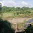  Land for sale in Malasiqui, Ilocos, Malasiqui