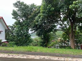  Land for sale in Nasugbu, Batangas, Nasugbu