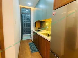 1 Phòng ngủ Chung cư for rent in Thanh Khê, Đà Nẵng, Thạc Gián, Thanh Khê