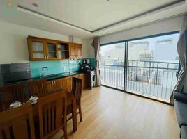 1 Bedroom Apartment for rent in My An, Da Nang, My An