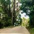  Land for sale in Misamis Oriental Northern Mindanao, Cagayan de Oro City, Misamis Oriental, Northern Mindanao