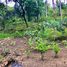  Land for sale in Misamis Oriental Northern Mindanao, Cagayan de Oro City, Misamis Oriental, Northern Mindanao