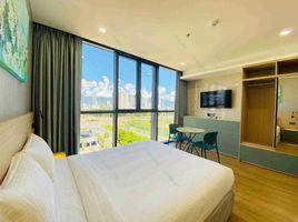 1 Bedroom Apartment for rent in An Hai Bac, Da Nang, An Hai Bac