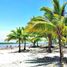  Land for sale in Muisne, Esmeraldas, Muisne, Muisne