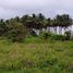  Terrain for sale in Muisne, Esmeraldas, Muisne, Muisne