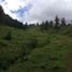  Land for sale in Xochiapulco, Puebla, Xochiapulco