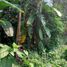  Terreno (Parcela) en venta en Quezon City, Metro Manila, Quezon City, Eastern District, Metro Manila