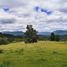  Terreno (Parcela) en venta en Chile, Lanco, Valdivia, Los Ríos, Chile