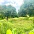  Land for sale in Manolo Fortich, Bukidnon, Manolo Fortich