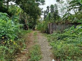  Land for sale in Binalonan, Pangasinan, Binalonan