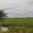  Land for sale in Binalonan, Ilocos, Binalonan