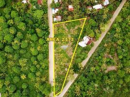  Land for sale in San Francisco, Cebu, San Francisco