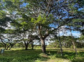  Terreno (Parcela) en venta en Calamba City, Calabarzon, Calamba City, Laguna
