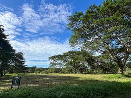  Terreno (Parcela) en venta en Calamba City, Calabarzon, Calamba City, Laguna, Calabarzon, Filipinas