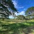  Terreno (Parcela) en venta en Calamba City, Calabarzon, Calamba City, Laguna, Calabarzon, Filipinas