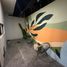 在Compostela, Nayarit出租的3 卧室 屋, Compostela