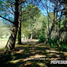  Land for sale in Huauchinango, Puebla, Huauchinango
