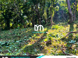 Terrain à vendre à Antipolo City, Calabarzon, Antipolo City, Rizal