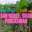  Land for sale in Sison, Pangasinan, Sison