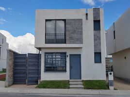 在Toluca, Mexico出租的2 卧室 公寓, Toluca