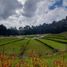  Grundstück zu verkaufen in Rionegro, Antioquia, Rionegro