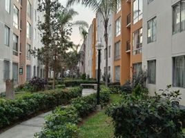 3 chambre Appartement for sale in San Luis, Lima, San Luis