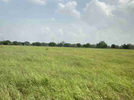  Land for sale in Pueblo Viejo, Veracruz, Pueblo Viejo