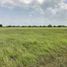  Land for sale in Pueblo Viejo, Veracruz, Pueblo Viejo