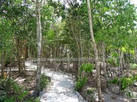  Grundstück zu verkaufen in Puerto Morelos, Quintana Roo, Puerto Morelos, Quintana Roo