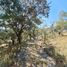  Land for sale in Zaragoza, San Luis Potosi, Zaragoza