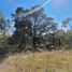  Land for sale in Zaragoza, San Luis Potosi, Zaragoza